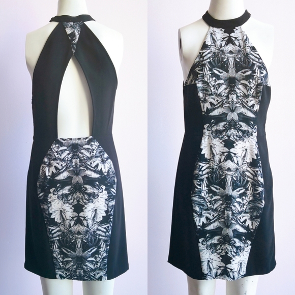 SILENCE + NOISE Halter Crepe Bodycon Dress Size 4 - Picture 1 of 6